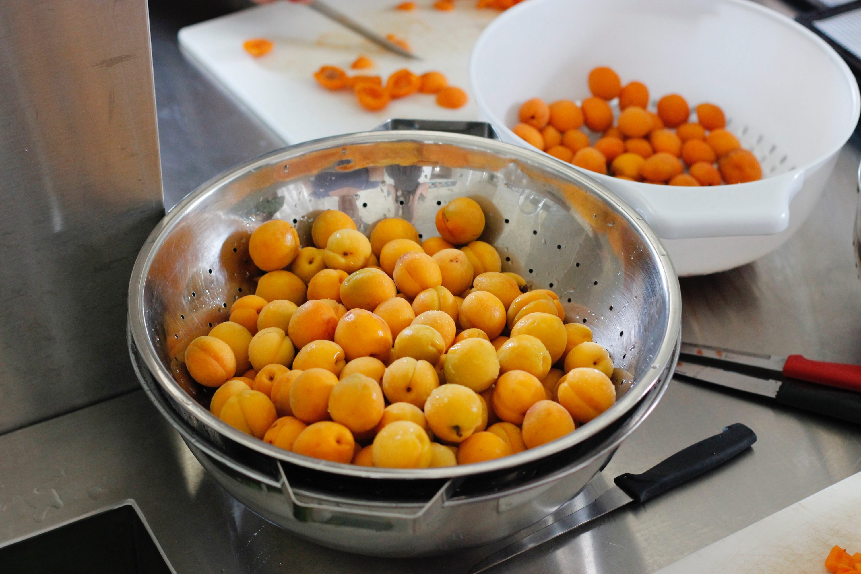 Social Enterprise, apricots ready to dry