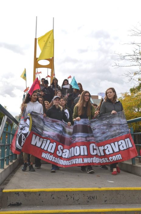 Wild Salmon Caravan 2017