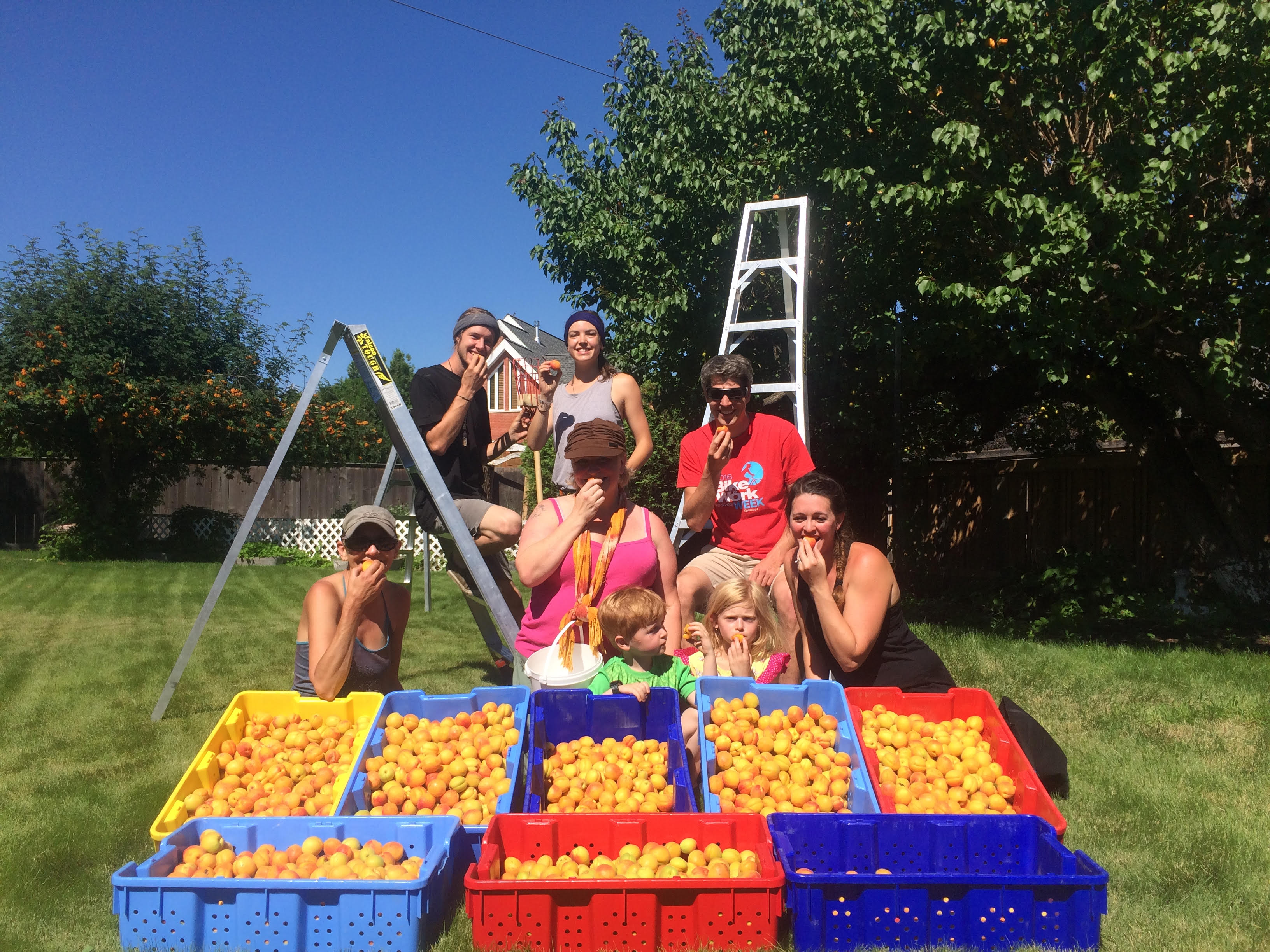 GAP Harvest