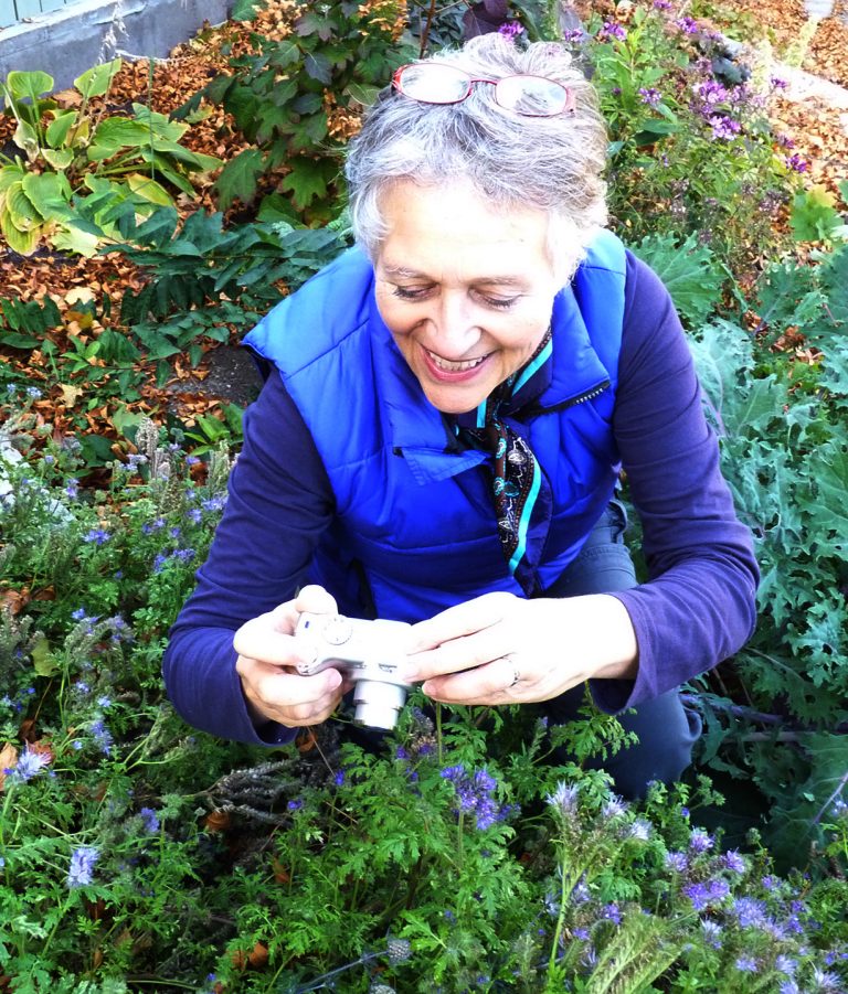 A Bee Named BOB Virtual Book Reading Kamloops Food Policy Council